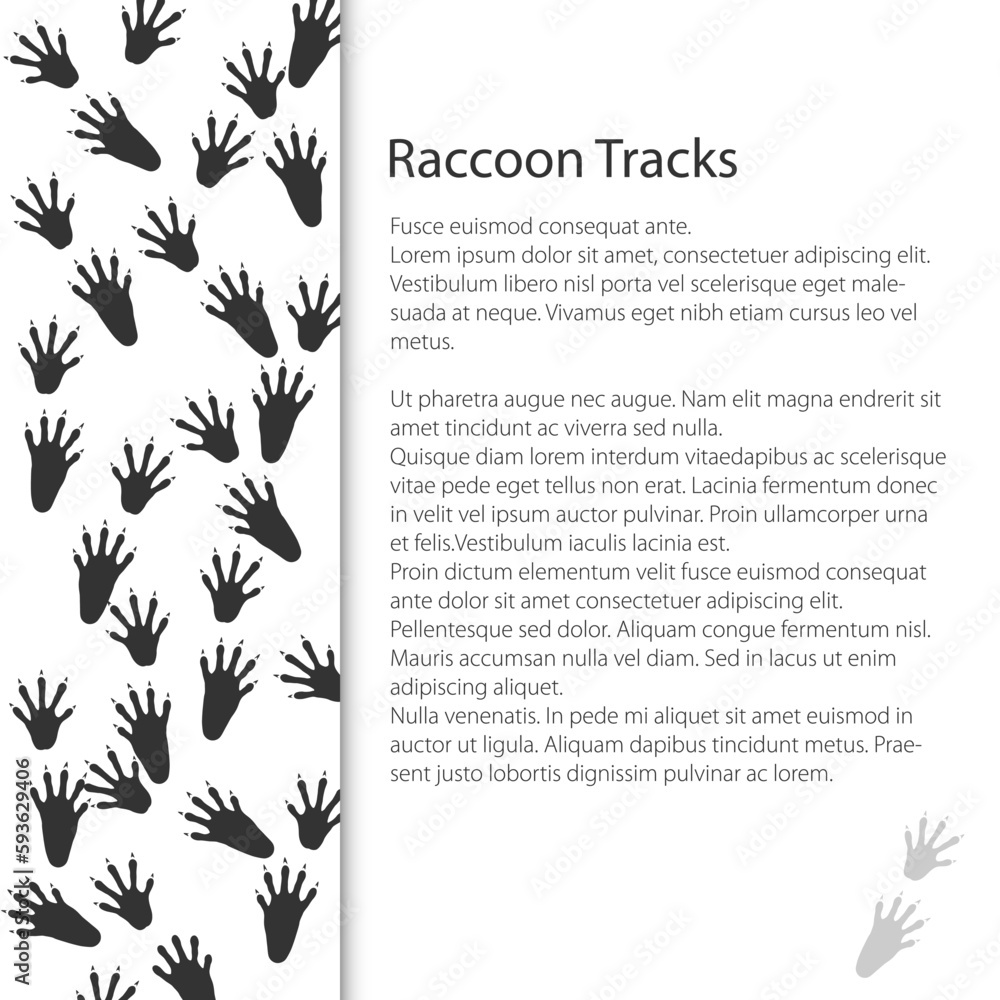 Cover design with traces of forest animal, raccoon mammal footprint, vector illustration