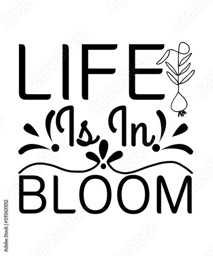 Sunflower Svg File, Bıg Sunflower Svg bundle, Sunflower Svg, Flower Svg, Sunflower Monogram Svg, Half Sunflower Svg, Sunflower Svg File, Summer, Love, Crıcut,27 Sunflower Quotes Svg Bundle, Sunflower 