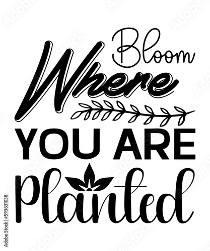 Sunflower Svg File, Bıg Sunflower Svg bundle, Sunflower Svg, Flower Svg, Sunflower Monogram Svg, Half Sunflower Svg, Sunflower Svg File, Summer, Love, Crıcut,27 Sunflower Quotes Svg Bundle, Sunflower 