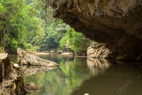 river in the forest