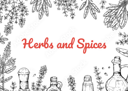 Herbs and spices horizontal design. Hand draw background with cooking ingredients in sketch style. Detailed vector illustration