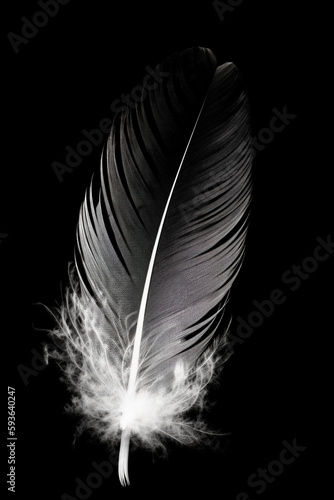 Black and white artistic conceptual illustration of a beautiful bird feather closeup. Generative AI