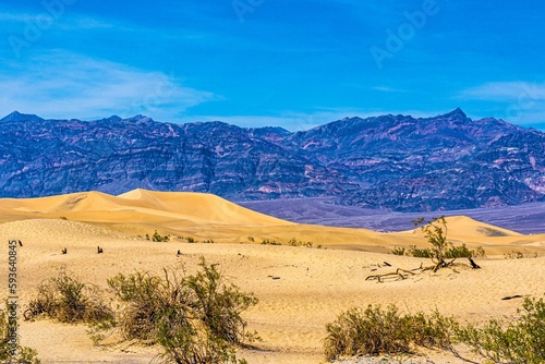 Landscape of the sand dunes in the Death Valley national park in California