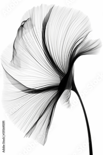 Black and white artistic conceptual illustration of a beautiful flower or floral element closeup. Generative AI