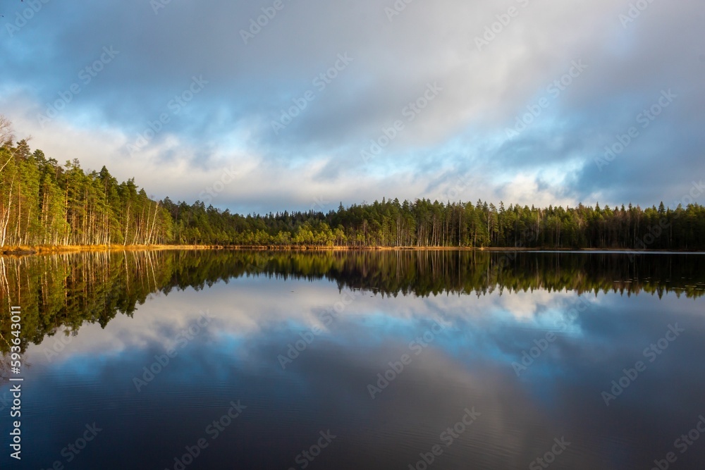 Scenic view of a tranquil lake surrounded by evergreen trees in Finland
