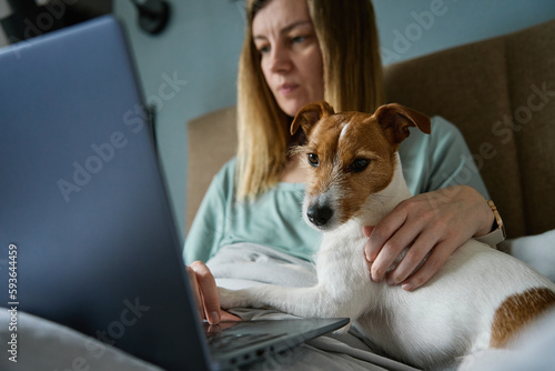 Woman lying in bed with dog and use laptop for working. Comfortable workplace, work from home. Spending time with pets © Lazy_Bear