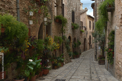 Flowers in ancient street. Spello is located in Umbria region  Italy