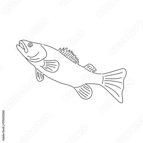 Cod fish sketch. Hand drawn vector illustration.