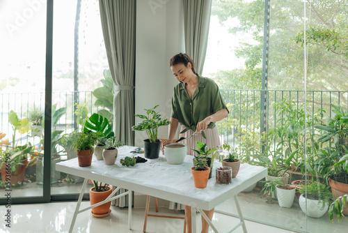 Woman is transplanting plant into new pot at home photo