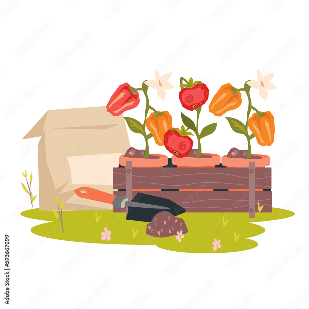 Fototapeta premium Seedlings of garden vegetables in boxes with gardening tools and fertilizers, flat vector illustration isolated on white background. Planting plants in the garden for personal use.
