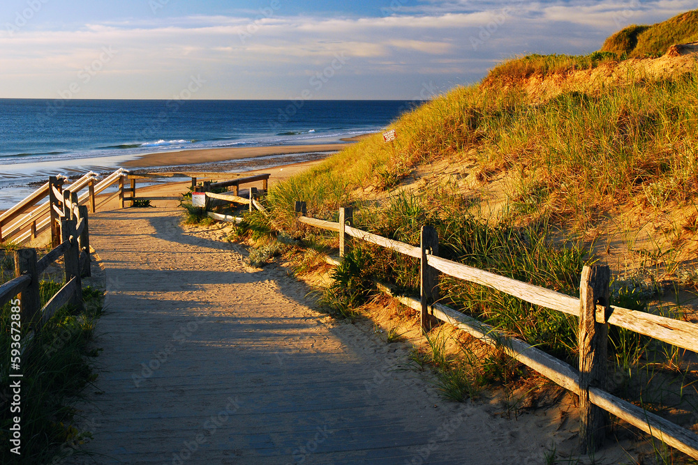 A path bordered by a split rail fence to protect the dunes, leads to the sands of an ocean beach on a summer day
