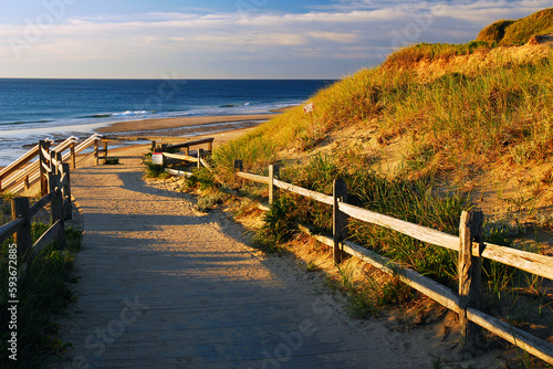 A path bordered by a split rail fence to protect the dunes  leads to the sands of an ocean beach on a summer day