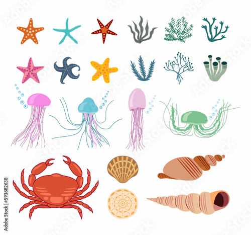 Set with ocean creatures. Vector isolated illustrations on a white background.