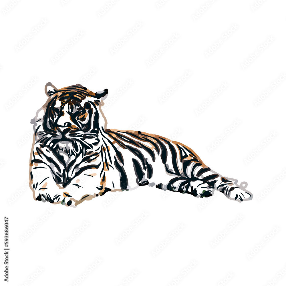 Naklejka premium tiger color sketch with transparent background