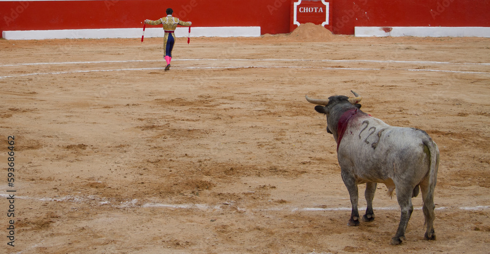Bullfighter doing bullfight in bullfighter suit Bullfighter doing bullfight in bullfighter suit