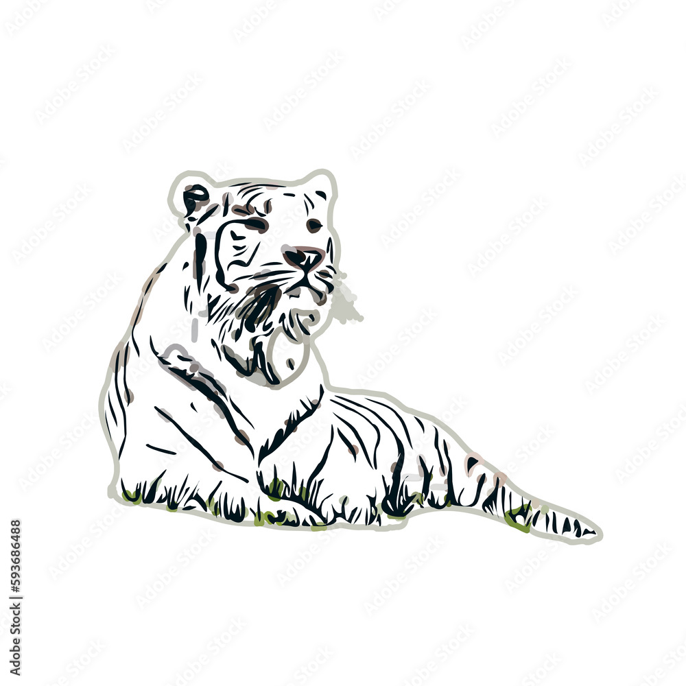 Fototapeta premium tiger color sketch with transparent background