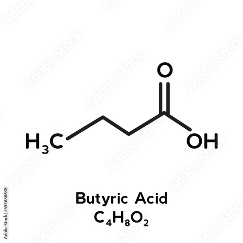 Butyric acid molecule structure vector photo