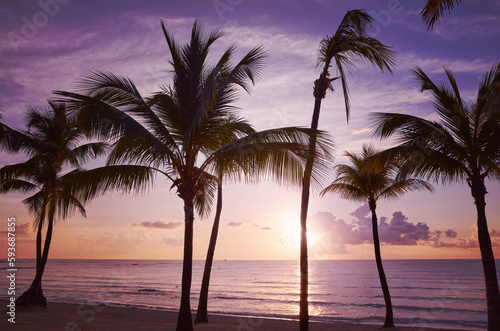 Tropical beach at purple sunset  color toning applied  Mexico.