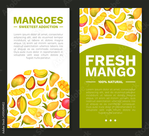 Ripe Mango Banner Design with Bright Tropical Fruit Vector Template