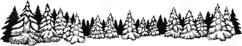 Forest sketch, horizontal banner with evergreen coniferous trees. Vector monochrome landscape.