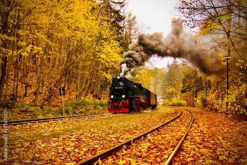 steamtrain in the forest