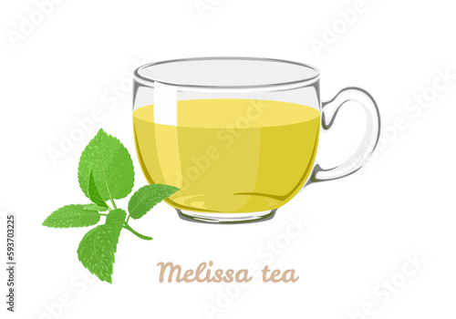 Melissa tea in transparent glass cup isolated on white. Vector cartoon illustration of herbal tea and green lemon balm leaves.