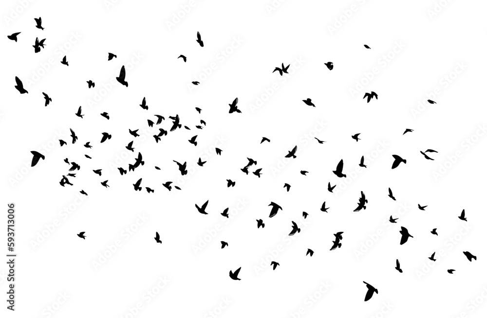 A flock of flying birds. Free birds. Vector illustration A flock of flying birds. Free birds. Vector illustration