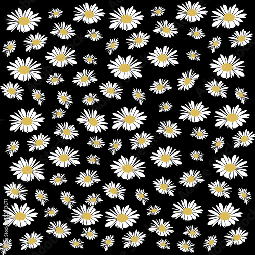 Fondo floral con margaritas blancas sobre negro.