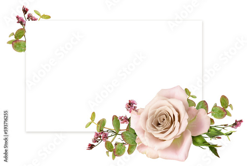 Pink rose flower and green ...