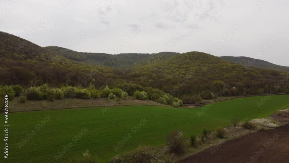 landscape with grass/smooth transition landscape with grass/smooth transition