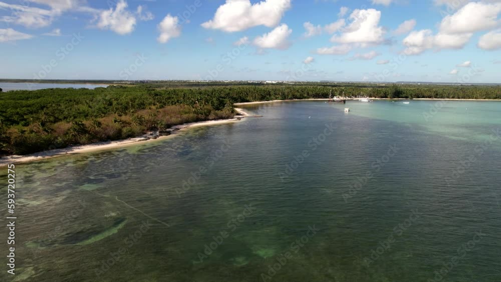 Dominican Republic Punta Cana, beautiful Caribbean sea coast with turquoise water and palm trees, top view Dominican Republic Punta Cana, beautiful Caribbean sea coast with turquoise water and palm trees, top view