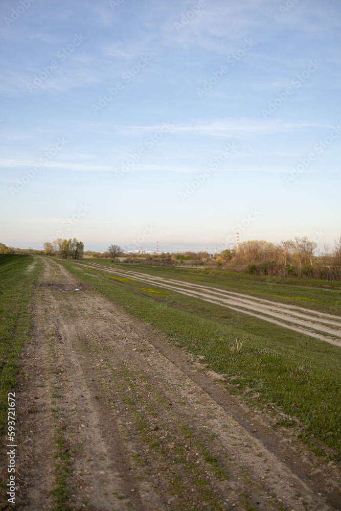 Beautiful nature dirt road with grass and sunny day with blue sky