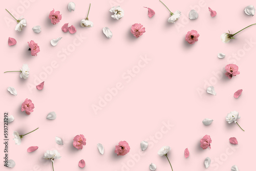 gruppo di fiori di ciliegio sullo sfondo colorato ,con petali  e foglie