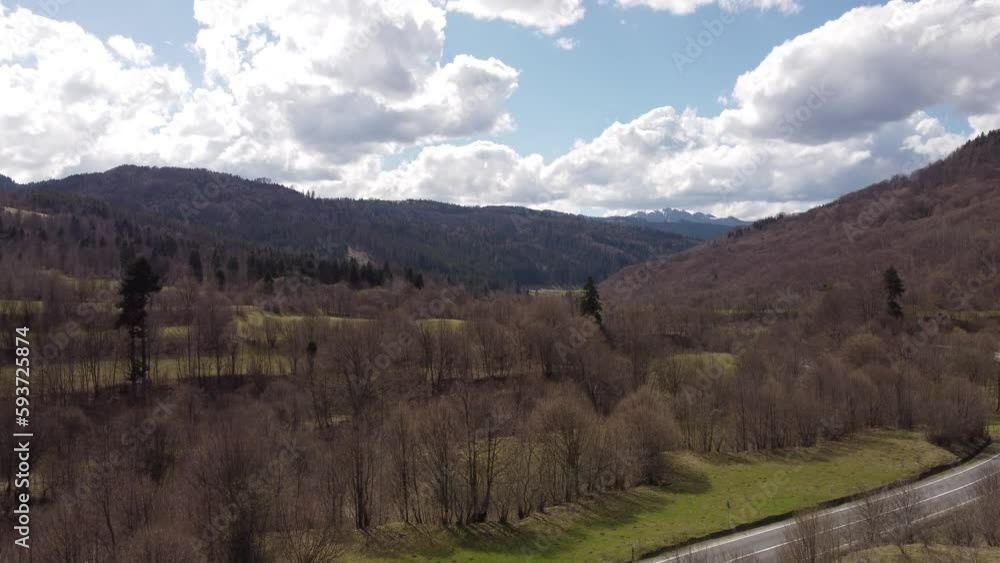 spring in the mountains/view from above/forest spring in the mountains/view from above/forest