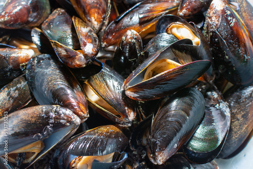 Mussels are a genus of marine bivalve molluscs.