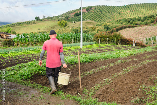 Farmer working in the orchard