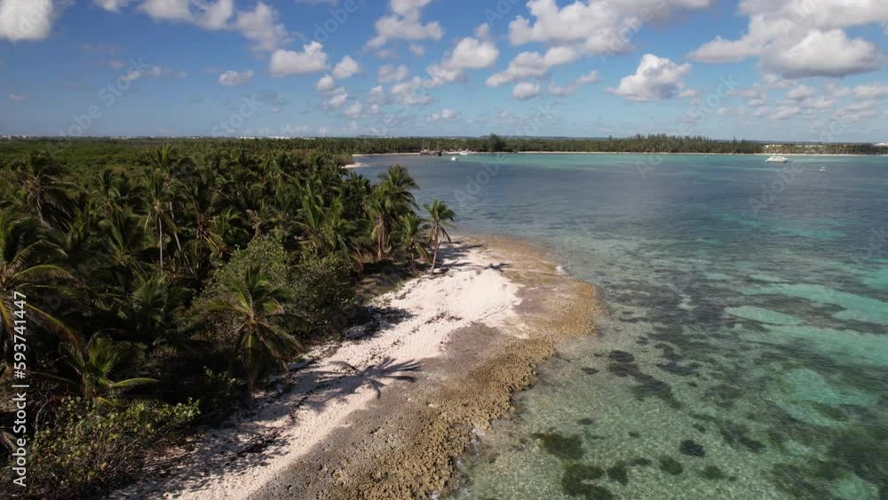 Dominican Republic Punta Cana, beautiful Caribbean sea coast with turquoise water and palm trees, top view Dominican Republic Punta Cana, beautiful Caribbean sea coast with turquoise water and palm trees, top view