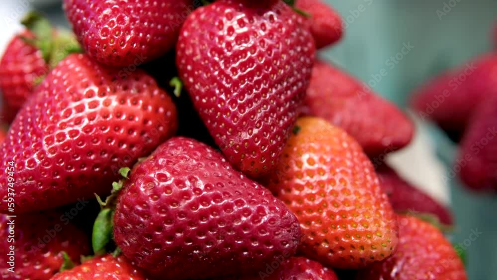 Many containers containing lots of strawberries. The garden strawberry is a widely grown hybrid species of the genus Fragaria. High quality 4k footage Many containers containing lots of strawberries. The garden strawberry is a widely grown hybrid species of the genus Fragaria. High quality 4k footage