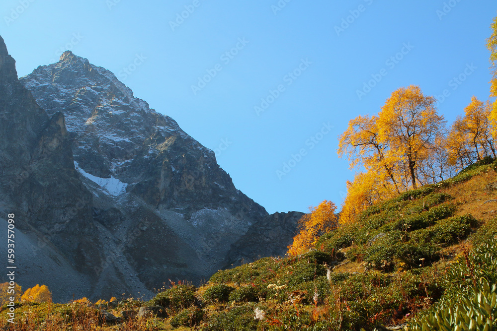 Fototapeta premium landscape with high mountains