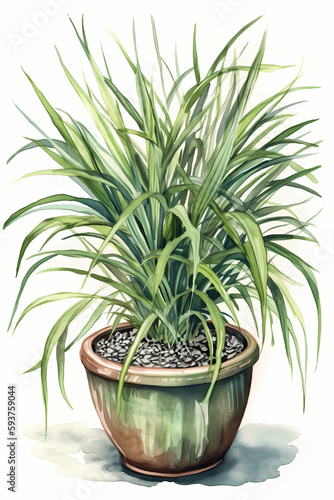 Botanical Watercolor Illustration of Japanese Forest Grass in Pot. Generative AI