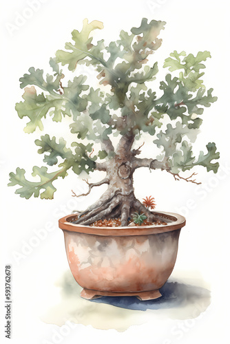 Botanical Watercolor Illustration of Oak in Pot. Generative AI