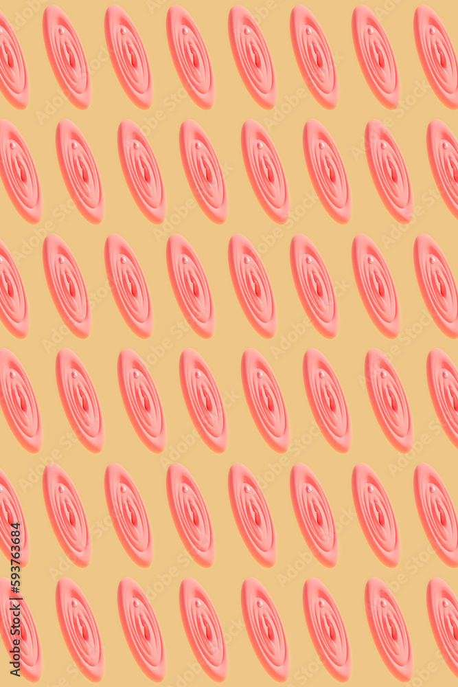 Vulva Vulva