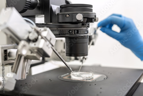 Process of in vitro fertilization in laboratory photo