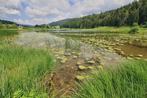 Lac tourbière de Bellefontaine