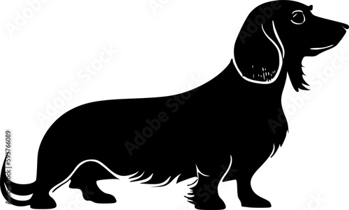 Dachshund | Black and White Vector illustration