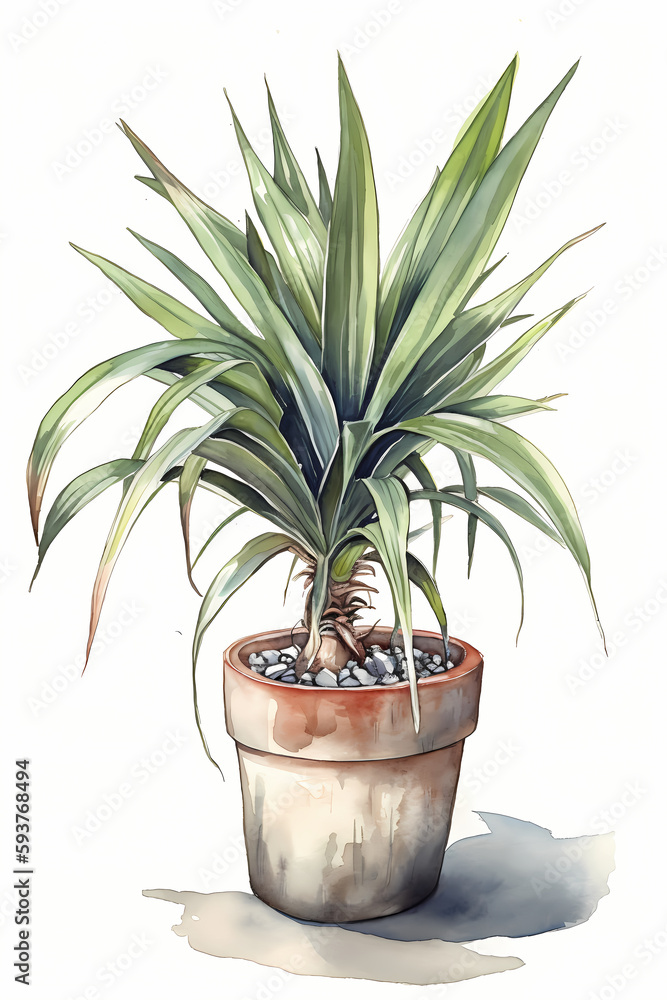Botanical Watercolor Illustration of Yucca in Pot. Generative AI