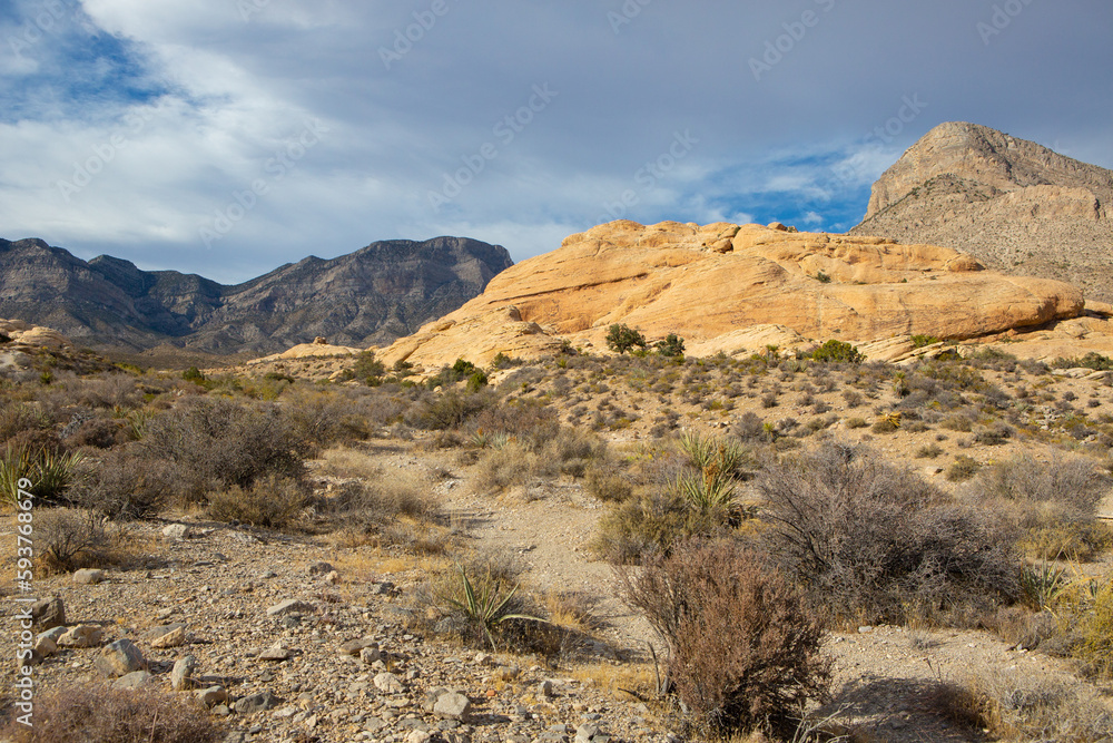 landscape of the mountains with hiking trail