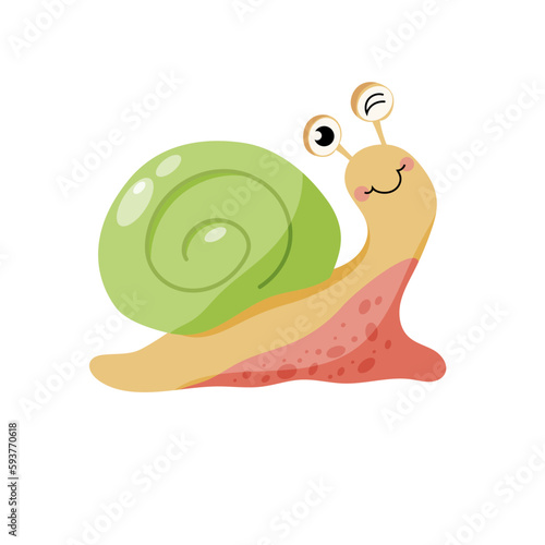 Colourful cartoon snail isolated on white.