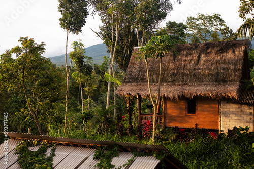 Hut in Tetebatu photo