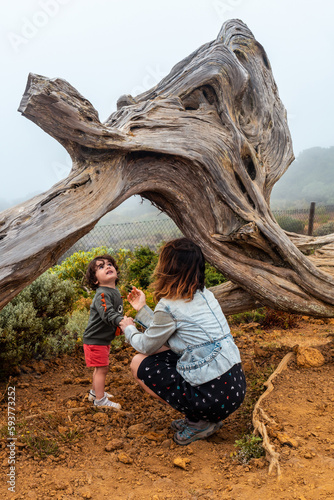 Mother and son visiting the Sabinar trees twisted by the wind of El Hierro. Canary Islands photo